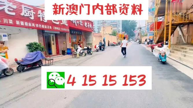 2024澳门天天开好彩-精选解释解析落实