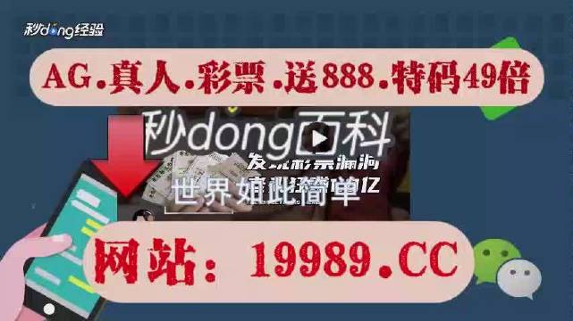 2024新澳门历史开奖记录查询结果-精选解释解析落实
