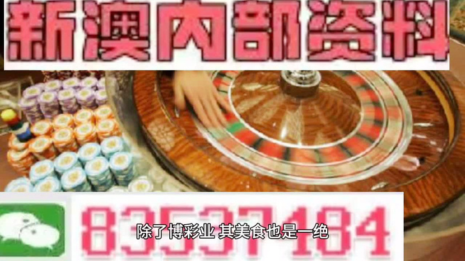 关于新澳门正版免费资料的查询-精选解释解析落实
