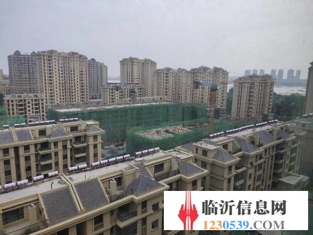 新沂房产信息网，连接城市发展与房产信息的桥梁