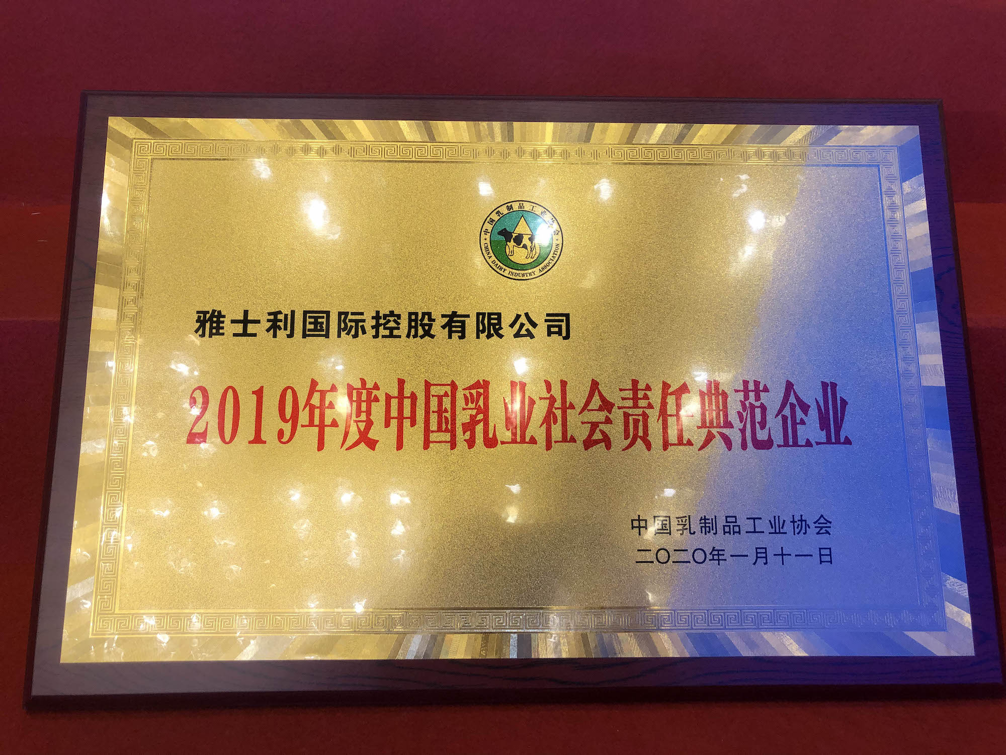 广东盛誉胶业有限公司，卓越品质，铸就行业典范