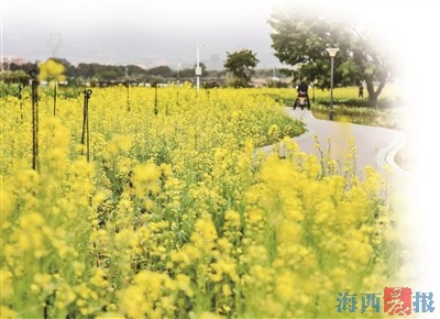 广东省的花卉世界，繁花似锦，美不胜收
