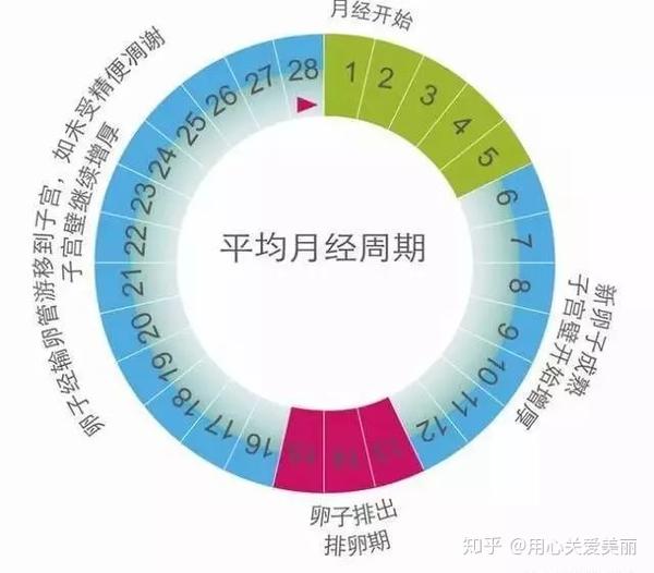 探究月经周期，为什么月经每个月都提前？
