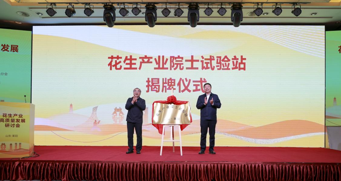广东女鞋有限公司，卓越品质铸就行业典范