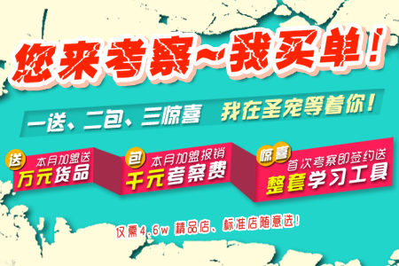 宠物店一个月能赚多少，深度探讨宠物行业的盈利潜力