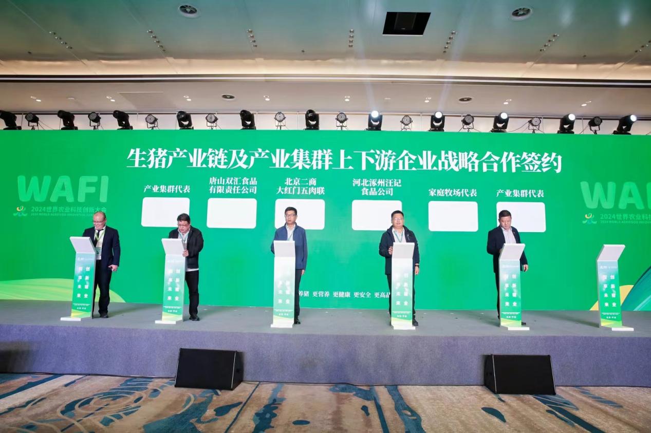 江苏新置科技，引领科技创新的先锋力量