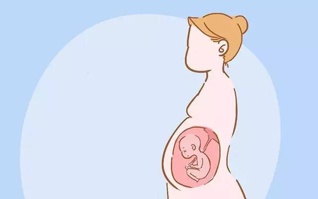 孕五个月肚子左下侧疼，原因、影响与对策
