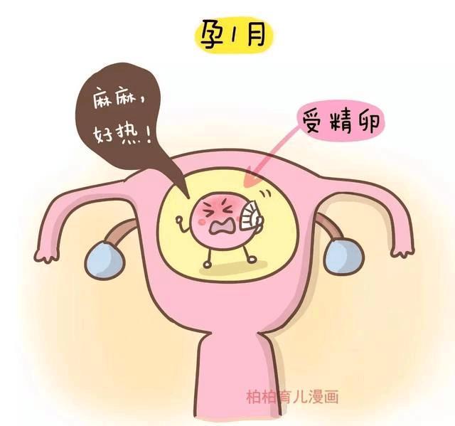关于孕妇能否在孕期泡温泉，7个月孕妇的特别关注