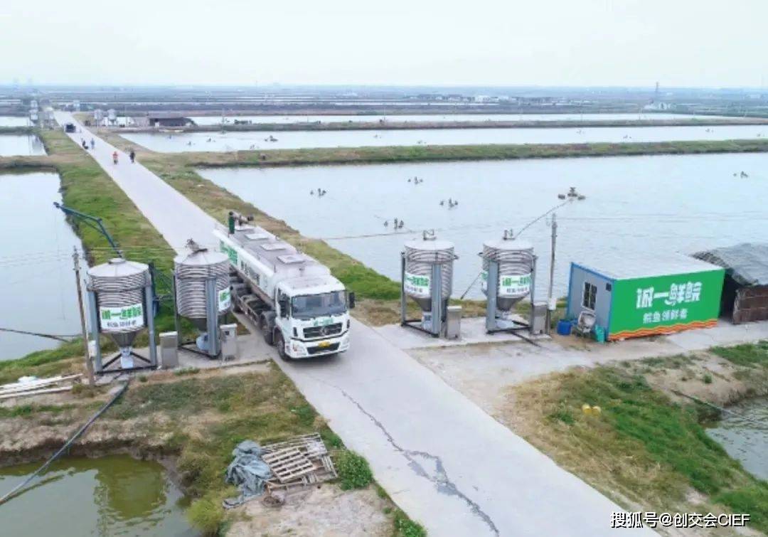 广东毅然水产有限公司，引领水产养殖新篇章