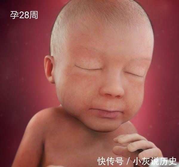孕四个月注意，孕期健康与胎儿发育的关键时刻