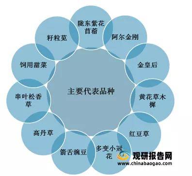 广东省稀有血型库建设的现状与发展策略