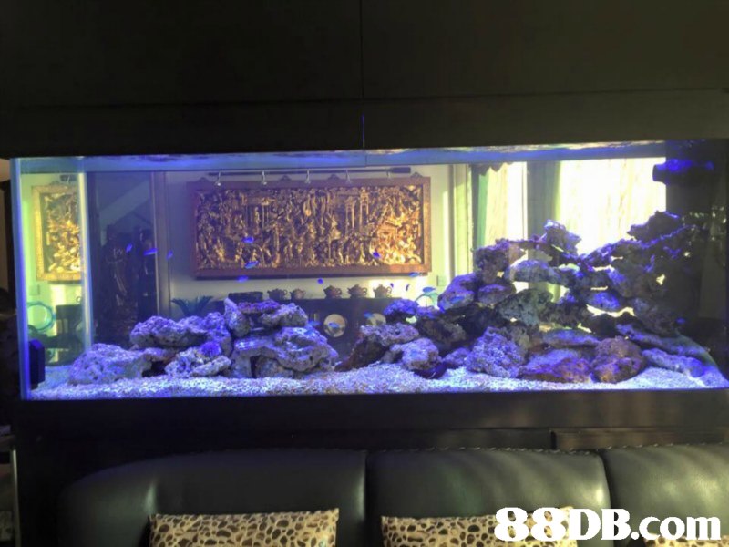 聚焦 第221页