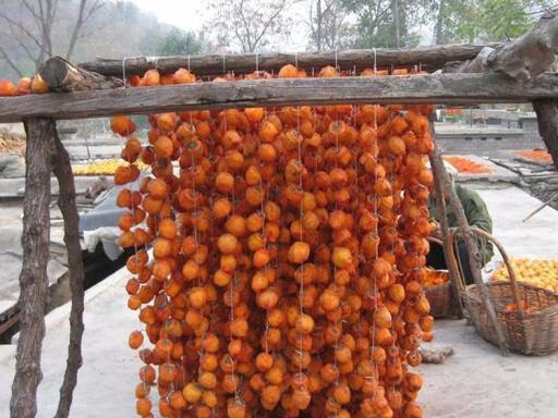十个月宝宝的水果饮食指南，哪些水果更适合宝宝吃？
