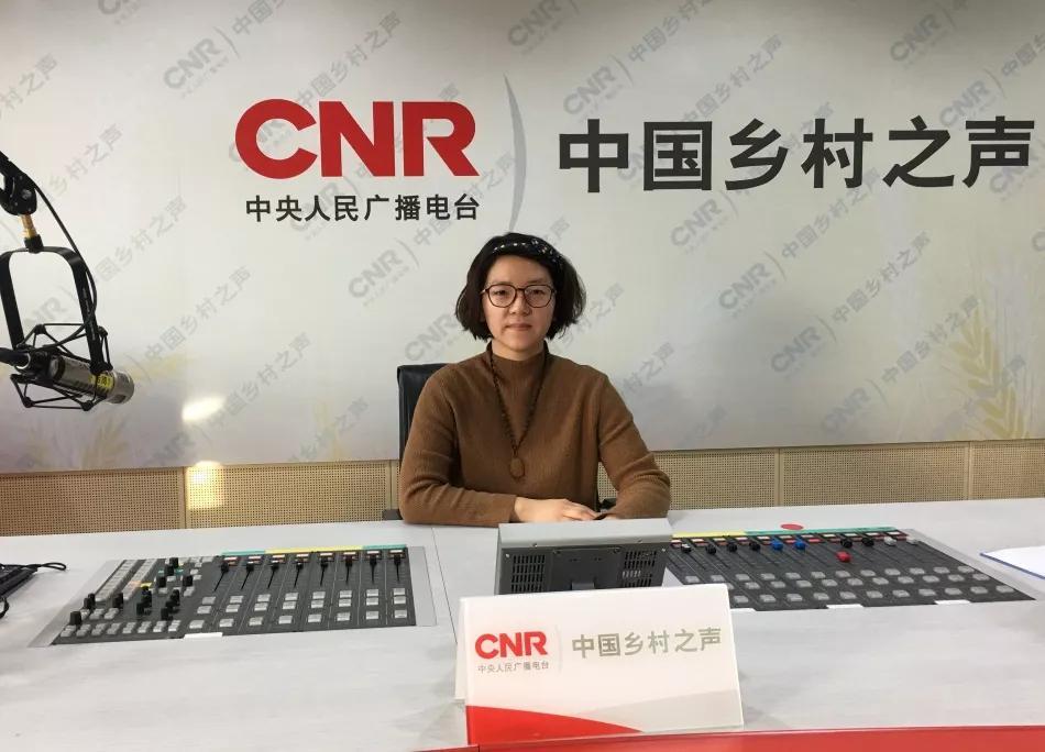 怀胎十一个月的说法，历史、文化和医学的交织