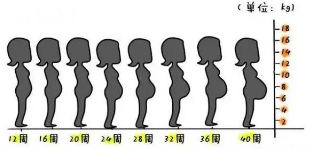 三个月孕妇的肚子大小及其相关因素