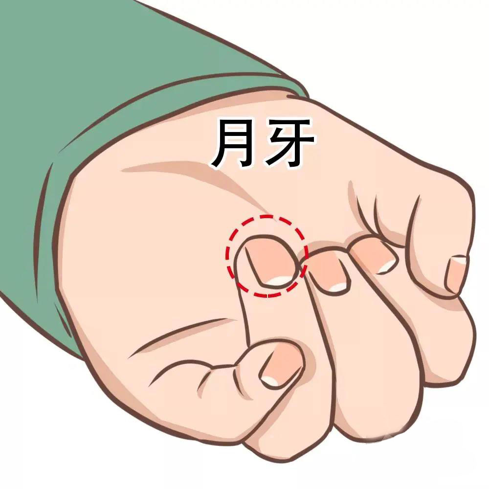 扫描 第107页