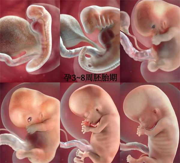 资讯 第93页