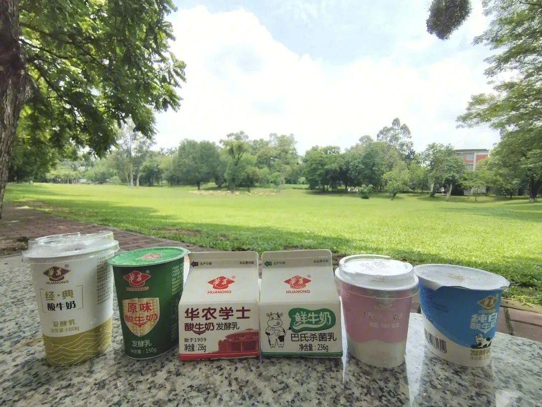 广东华农大酸奶有限公司，传统与创新交融的乳业典范