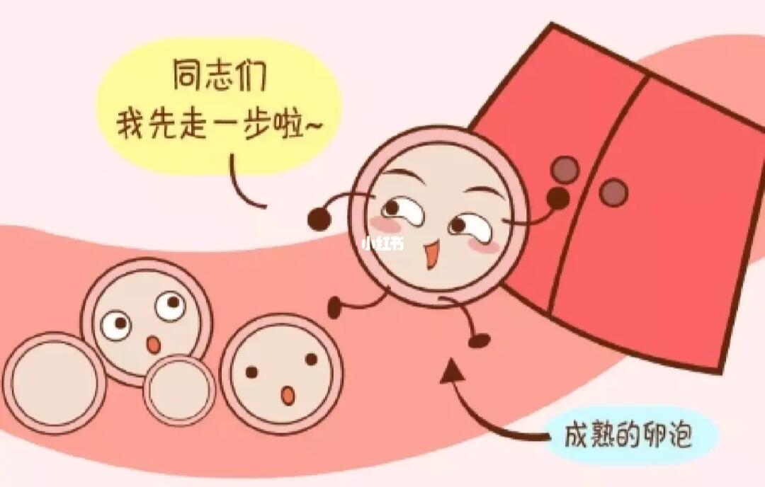 促排卵，连续几个月的可能性和影响