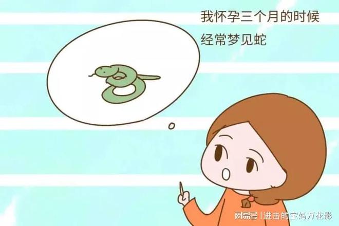 揭秘真相，几个月看男女最准