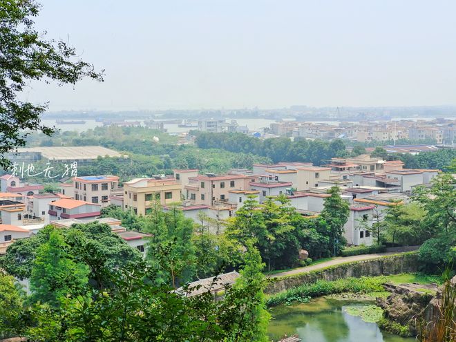 广东省番禺谢石公路，历史脉络与现今风貌