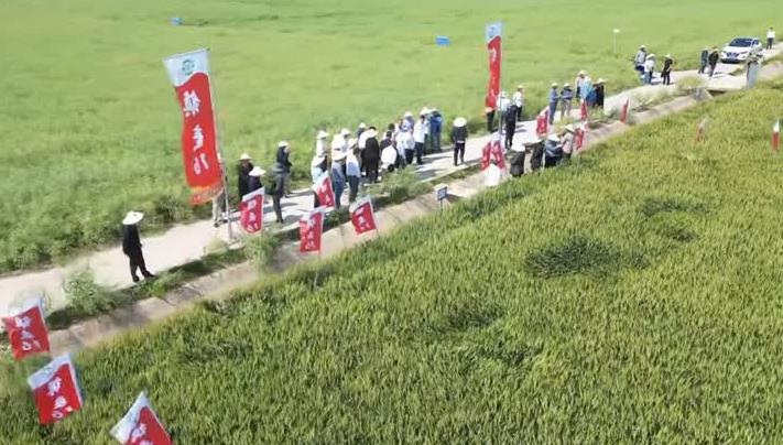 江苏烽田科技农业，引领现代农业科技的新典范
