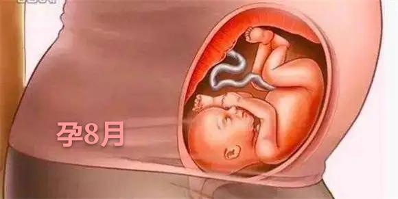 男宝宝九个月发育标准解析